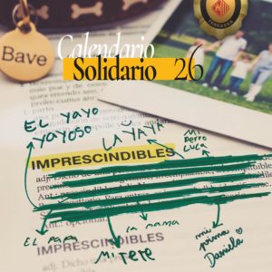 Calendario solidario de pared